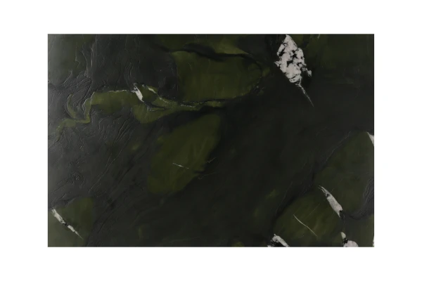 Avocatus Granite countertop slab